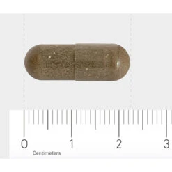 Orthica Slaap Support -Metagenics Verkoopwinkel 1029812 4