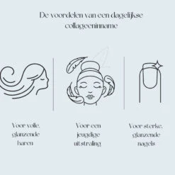 Premium Collageen Hydrolysaat Poeder Met Vitamine C En Hyaluronzuur Sinaasappelsmaak 7 Premium Collageen Hydrolysaat Poeder Met Vitamine C En Hyaluronzuur Sinaasappelsmaak -Metagenics Verkoopwinkel 1055226 4